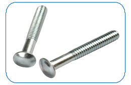 carriage bolts