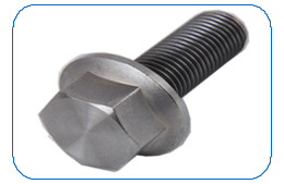 flange bolt