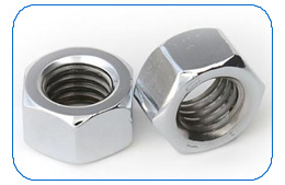 Hex Nut