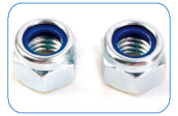 Nylon Insert Lock Nut