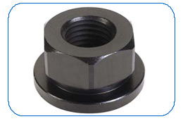 Serrated Flange Nut