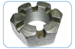 Slotted Nut