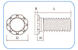 screws manufacturer